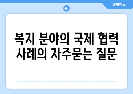 복지 분야의 국제 협력 사례