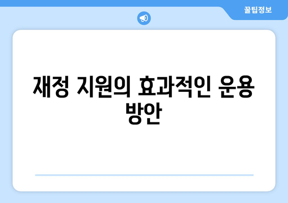 복지와 재정 지원: 정부의 역할과 책임